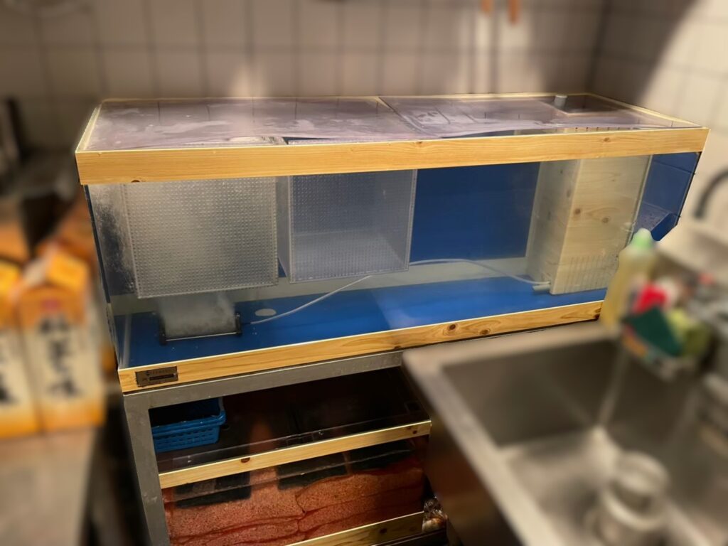 東京都　活魚水槽　メンテナンス